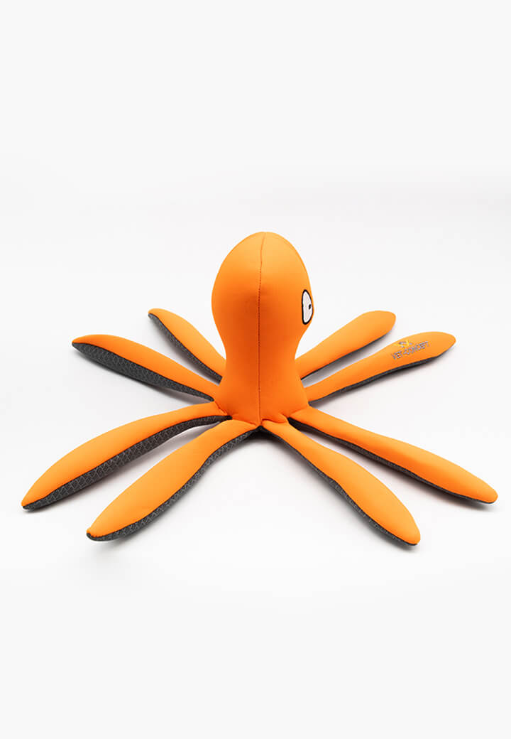 Oktopus Otto Bild 4